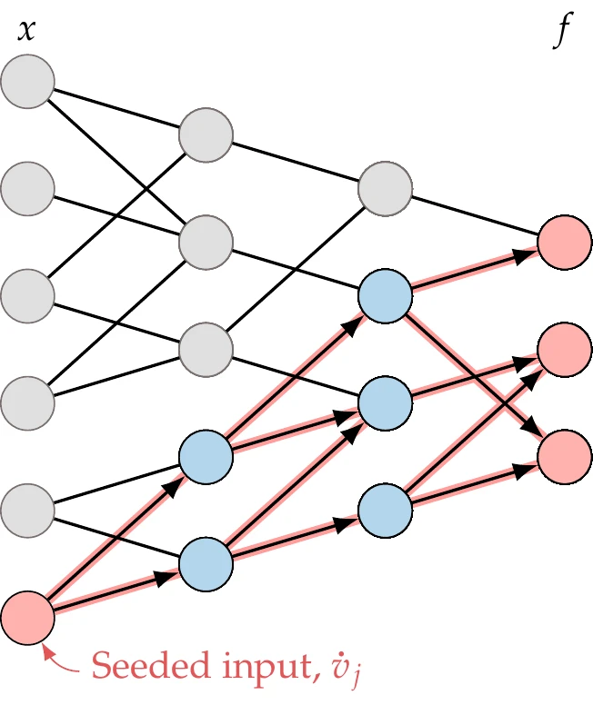 The forward mode propagates derivatives to all the variables that depend on the seeded input variable.