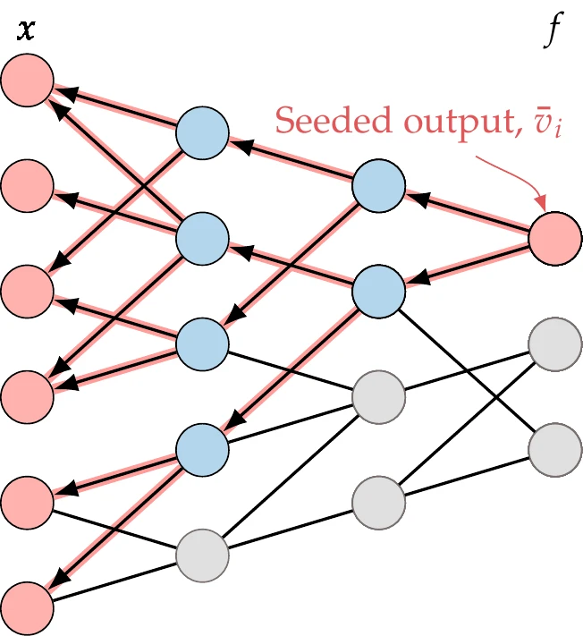 The reverse mode propagates derivatives to all the variables on which the seeded output variable depends.
