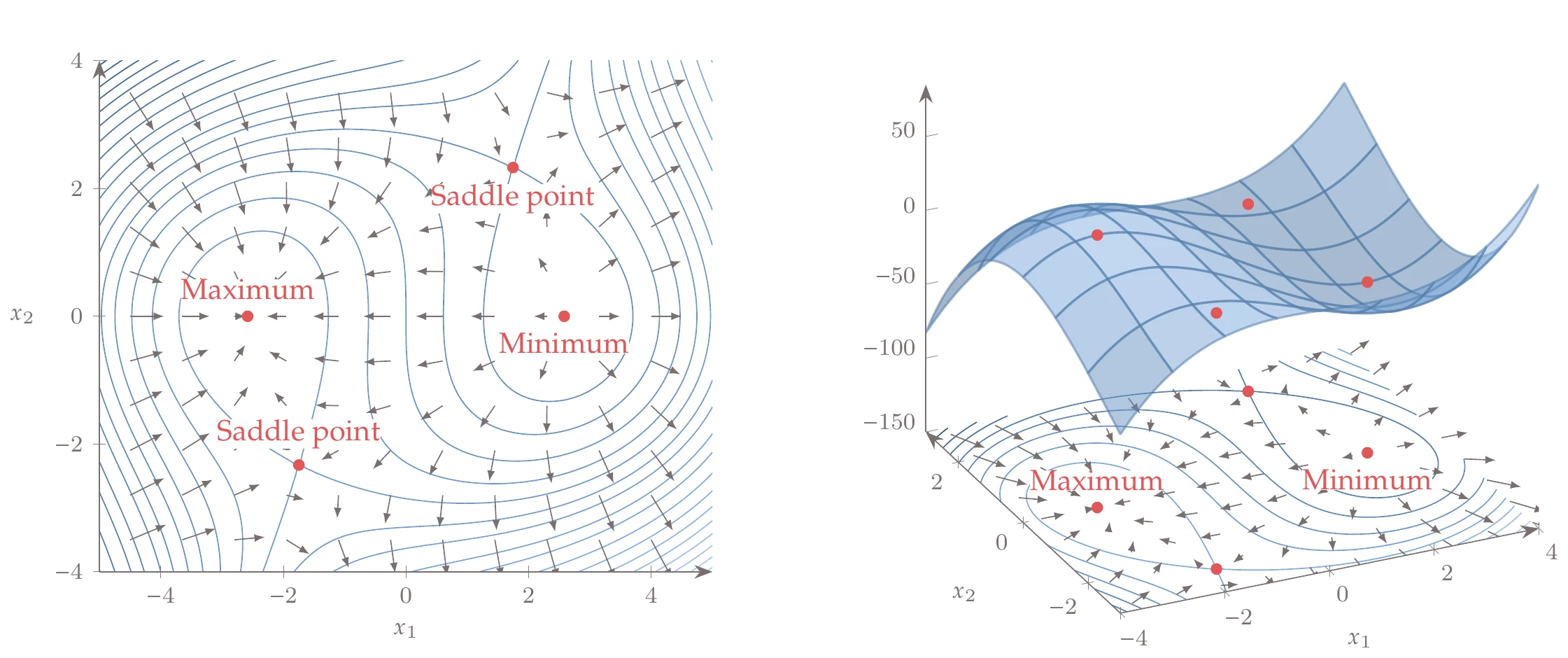 Gradient vector field shows how gradients point toward maxima and away from minima.
