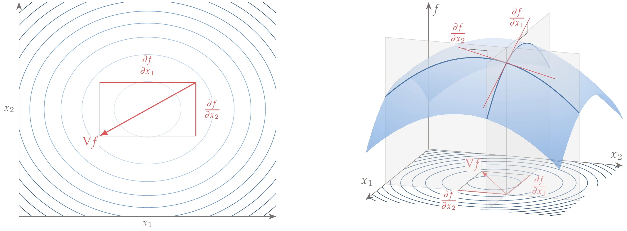 Components of the gradient vector in the two-dimensional case.