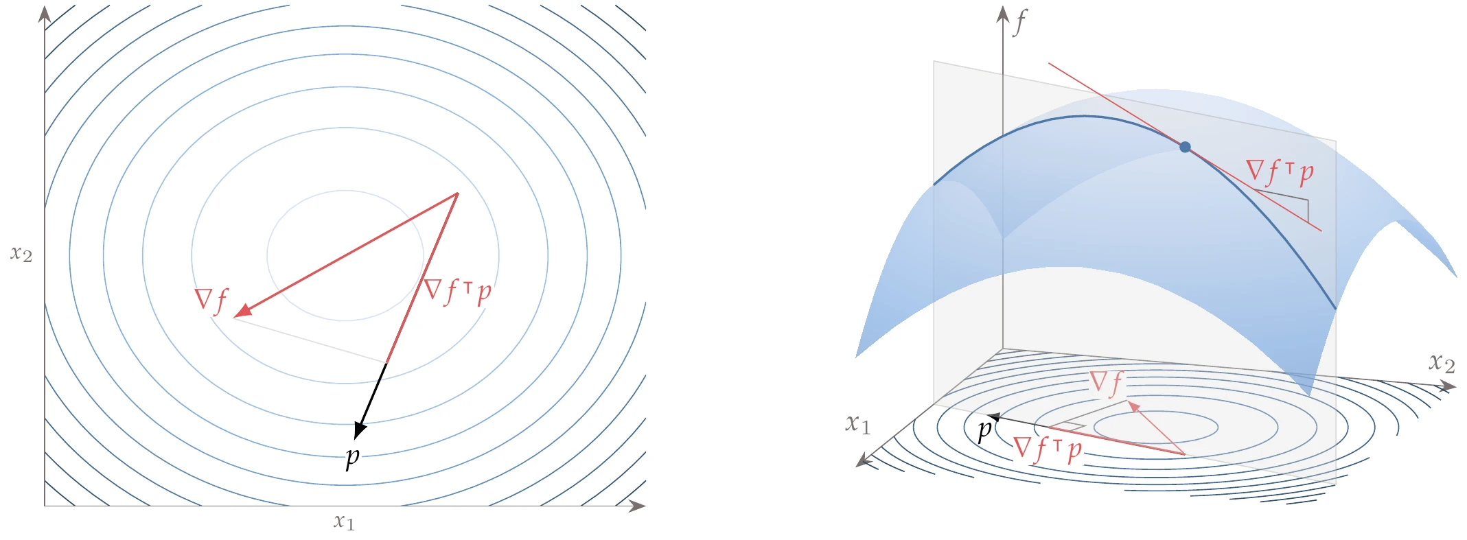 Projection of the gradient in an arbitrary unit direction p.