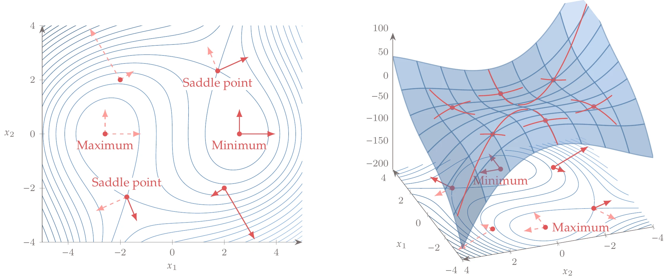 Principal curvature direction and magnitude variation. Solid lines correspond to positive curvature, whereas dashed lines are for negative curvature.