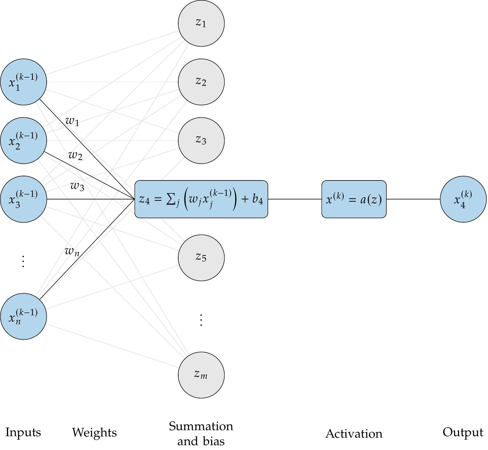 Typical functional form for a neuron in the neural net.